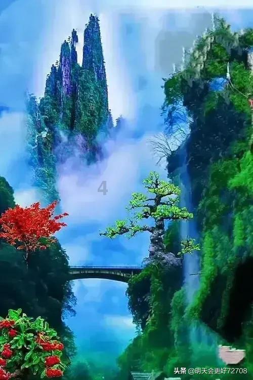 营救小乌龟