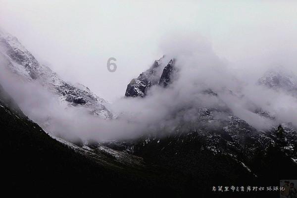 牡丹鹦鹉只喜欢一个人是什么情况？游戏画面